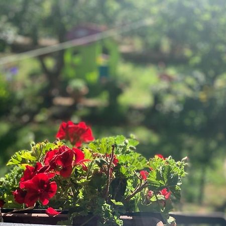Apartman Dalija Vinkuran Exterior foto